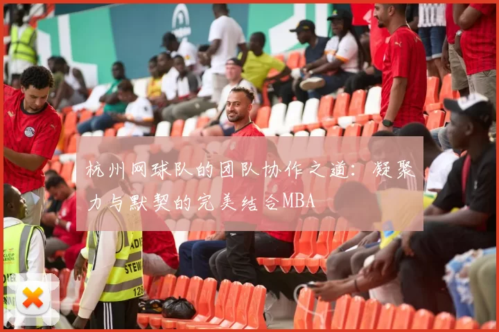 杭州网球队的团队协作之道：凝聚力与默契的完美结合MBA