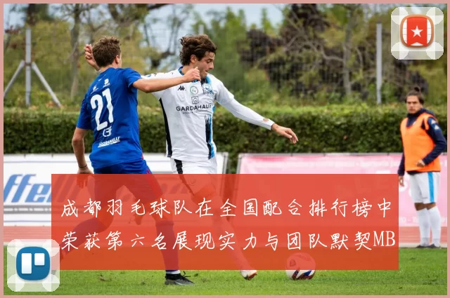 成都羽毛球队在全国配合排行榜中荣获第六名展现实力与团队默契MBA
