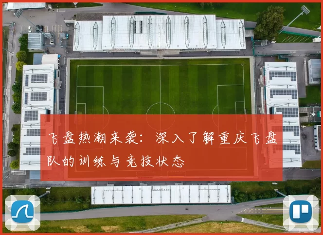 飞盘热潮来袭：深入了解重庆飞盘队的训练与竞技状态