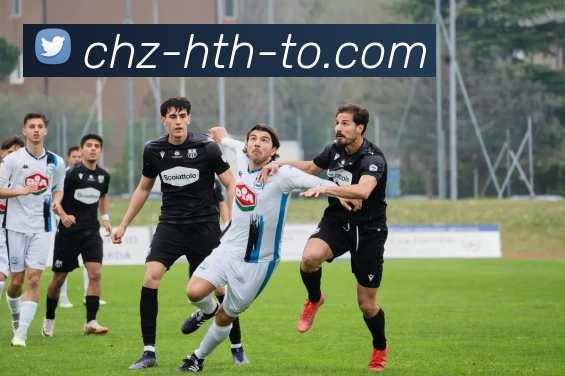 hth华体会平台生态图